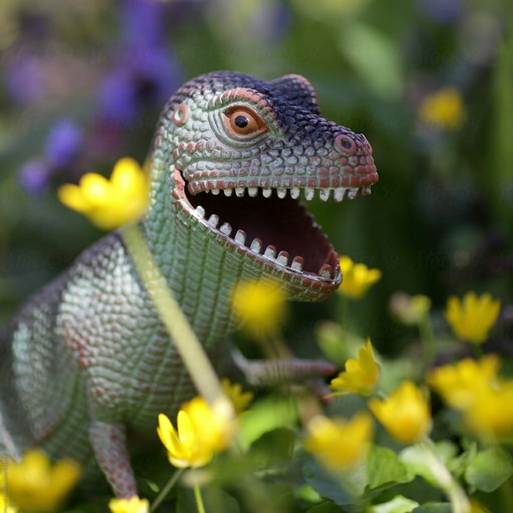 Welcome ☺ - Picture 3 of 4